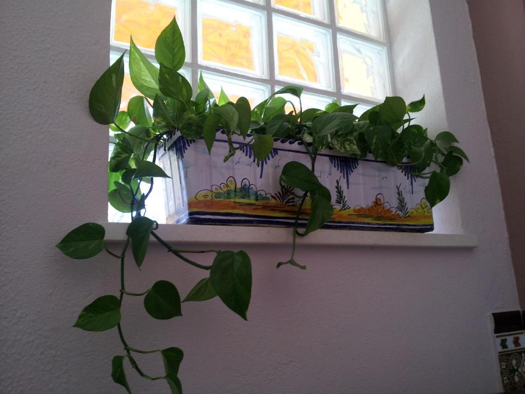 Hostal Tarik Hotel Tarifa Luaran gambar